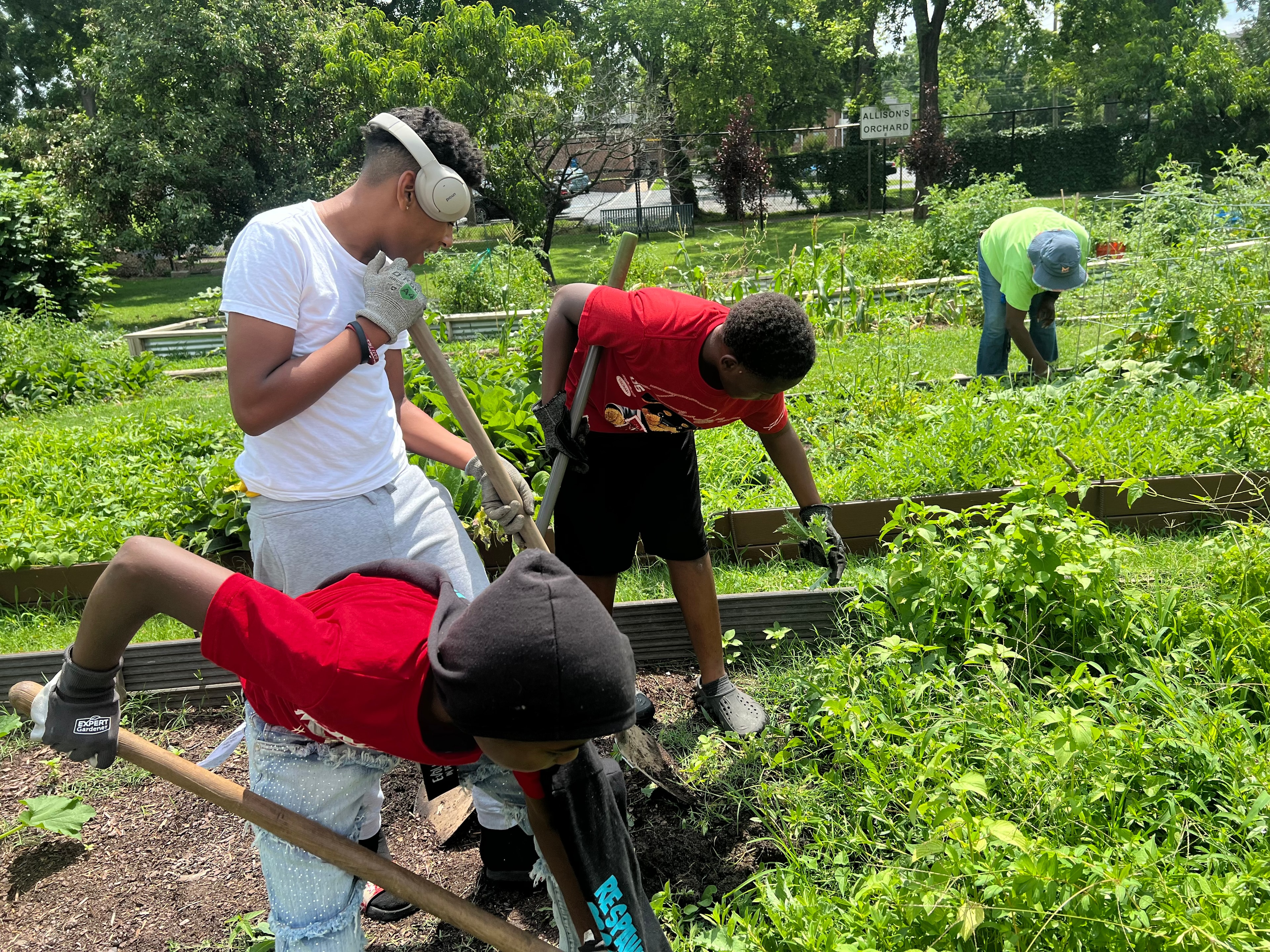 Youth gardening in Edgehill community garden