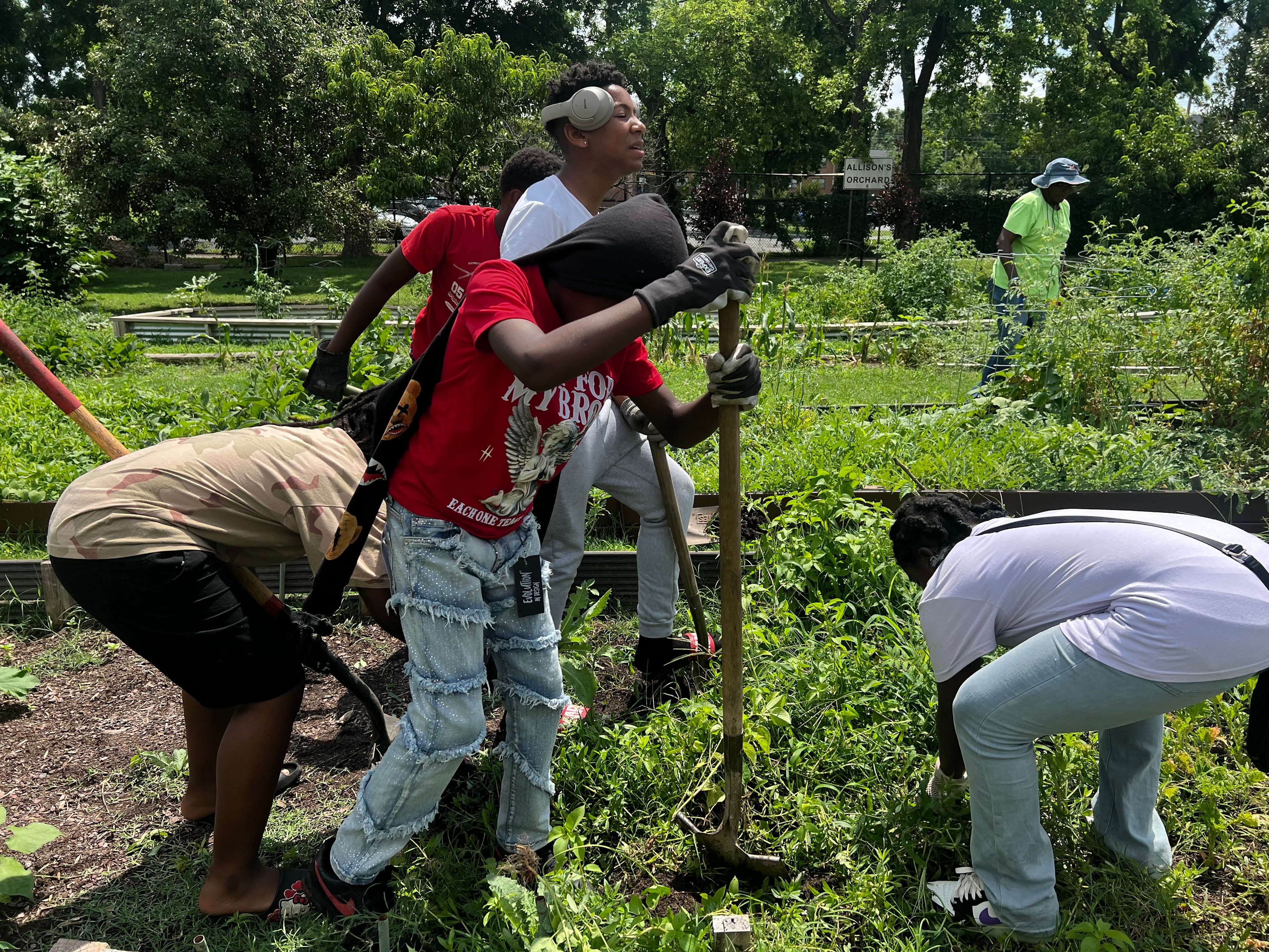 Youth gardening and learning at the Edgehill community garden